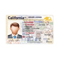 CALIFORNIA DRIVER LICENSE PSD TEMPLATE 2019 (NEW VERSION)