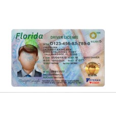 Florida driver license Psd Template