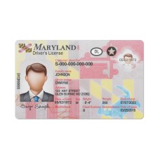 Maryland driver license Psd Template