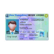New Hampshire driver license Psd Template
