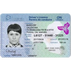 ONTARIO  DRIVER LICENSE PSD TEMPLATE (NEWEST VERSION)