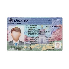 Oregon driver license Psd Template
