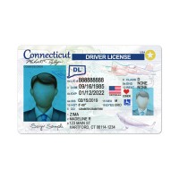 Connecticut of USA driving license psd template