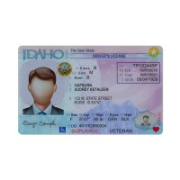 Idaho of USA driving licence psd template