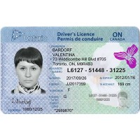 Ontario Canada driving licence design photoshop document template